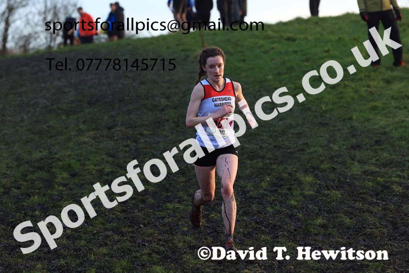 Senior womens 2023 North Eastern Cross Country Champs., Temple Park, South Shields. Photo: David T. Hewitson/Sports for All Pics